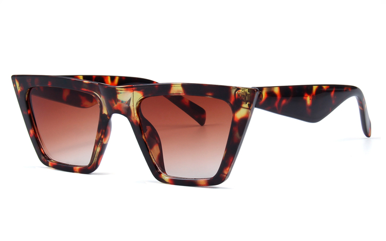  | cat_eye_solbriller