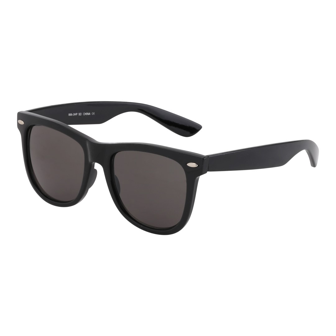 Klassisk bestseller wayfarer model i sort. | 